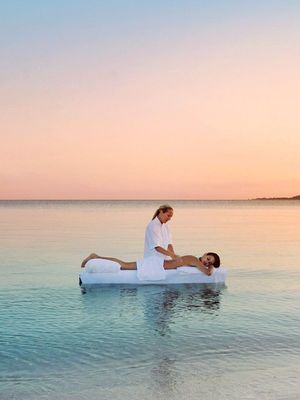 Оздоровительный (Wellness и SPA)