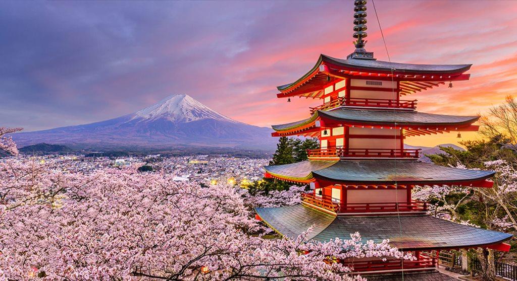 Цветение сакуры в Японии + отдых в Абу-Даби