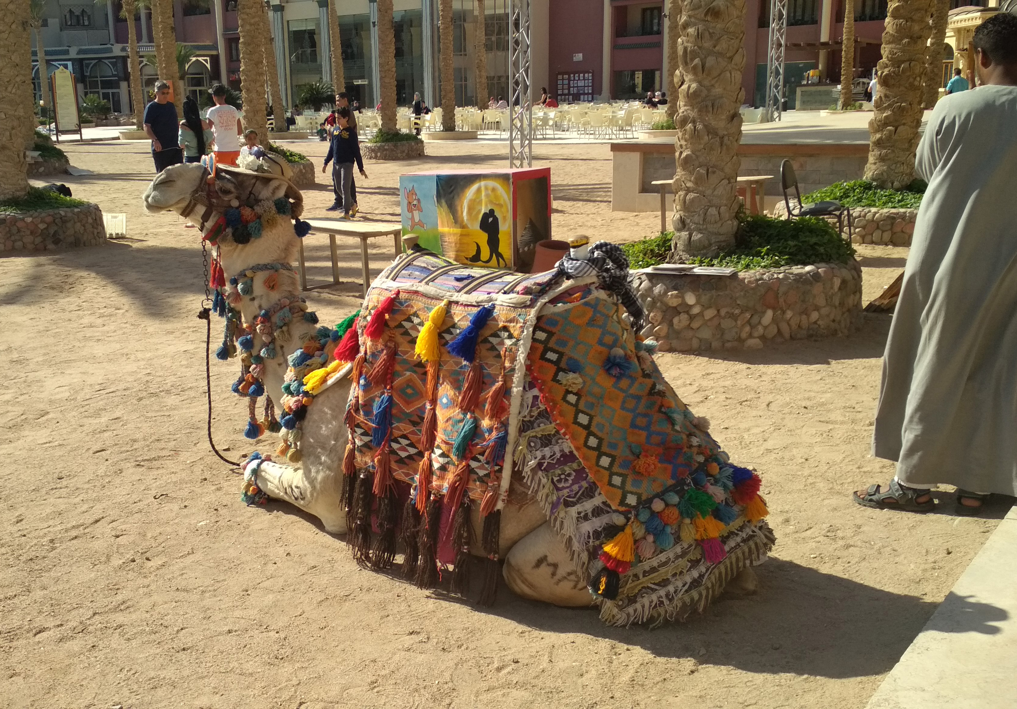 Алексей — Египет